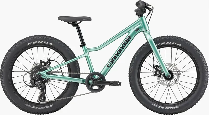 Cannondale Kids Trail Plus 20 Mountain Bike 20 inch in Cactus Green